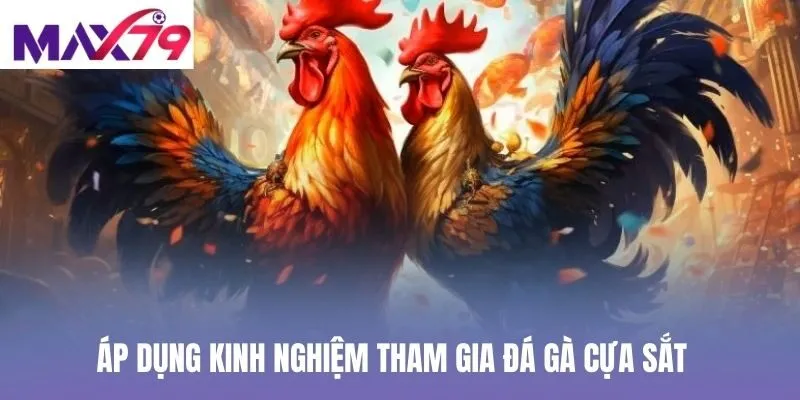 Áp dụng kinh nghiệm tham gia đá gà cựa sắt