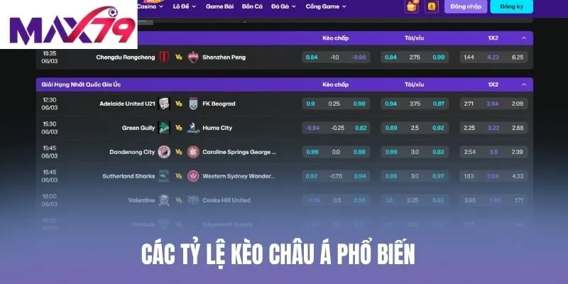 Các tỷ lệ kèo châu Á phổ biến