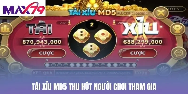 Tài Xỉu MD5 thu hút người chơi tham gia